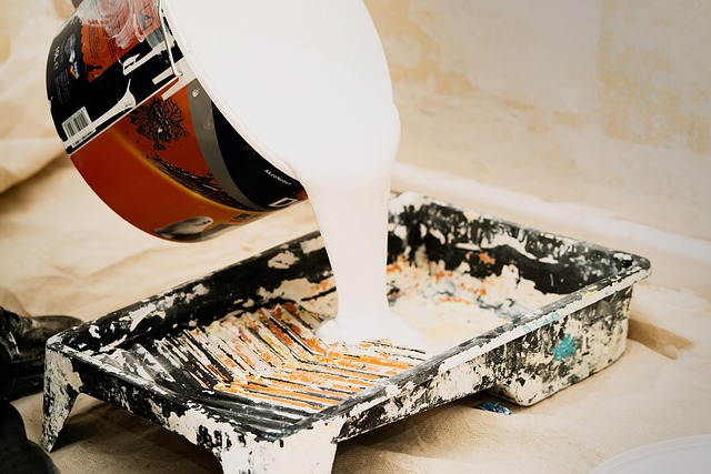 Borlodan Painting Company releases DIY guidance, ‘Painting solutions for microclimates’
